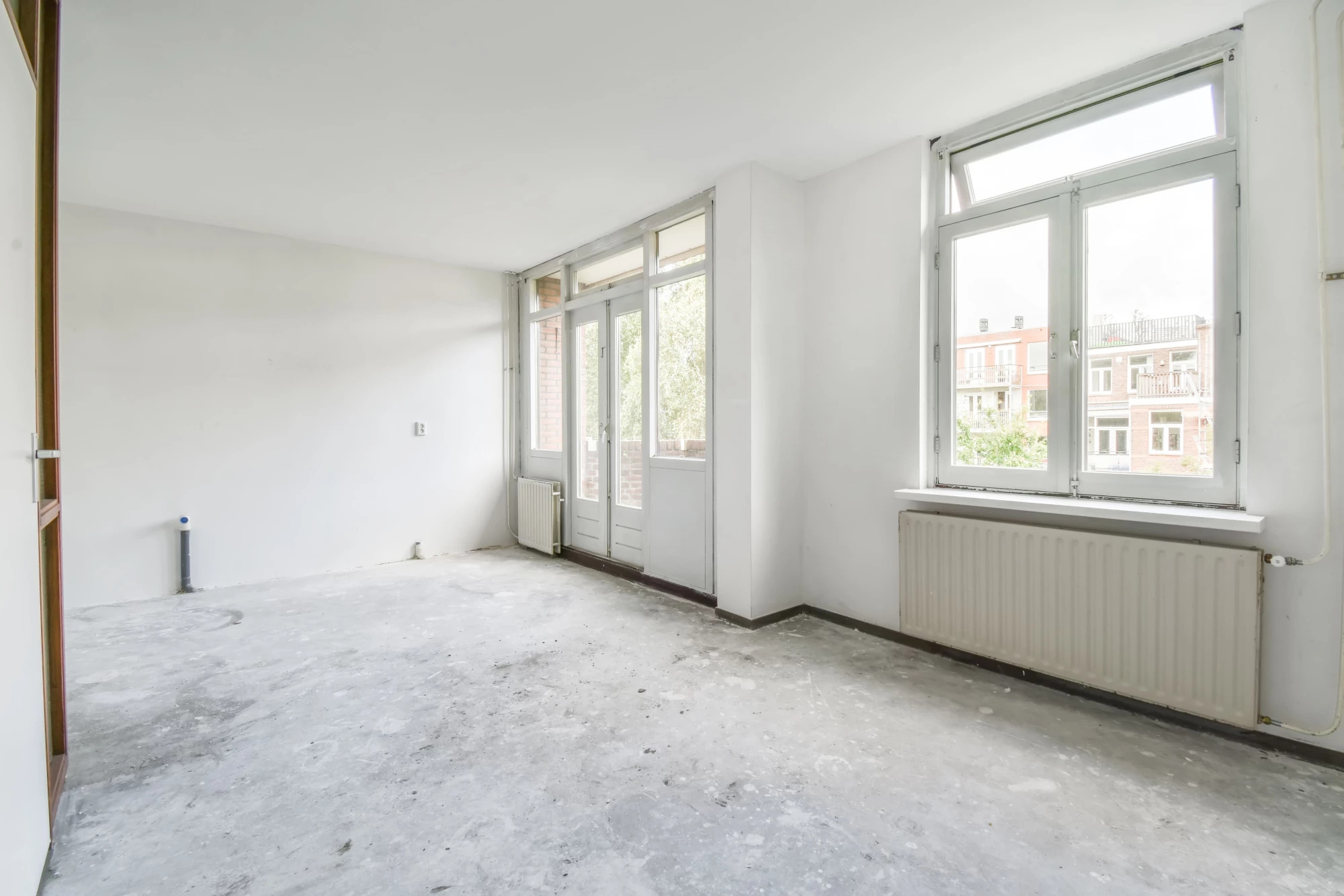 რა არის მწვანე კარკასი? სურათი